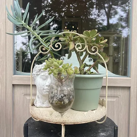 Dimora Farei بيت للعطل Barcuzzi