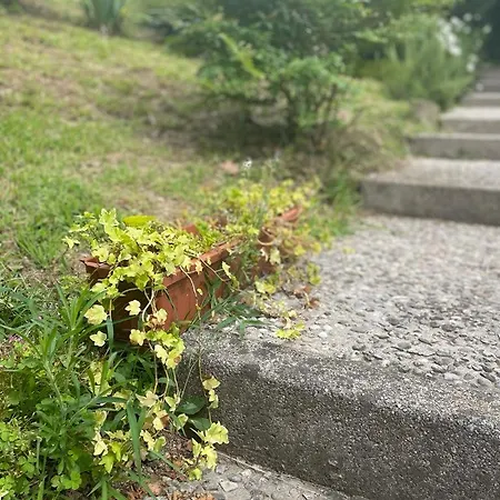 Dimora Farei Casa vacanze